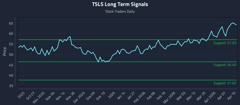 TSLS Long Term Analysis for April 13 2026
