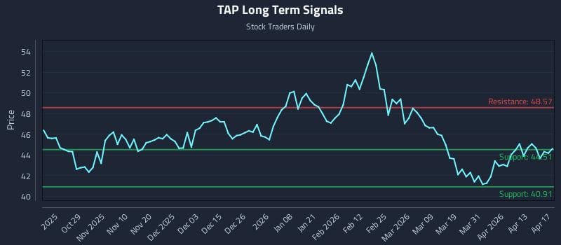 TAP Long Term Analysis for April 19 2026