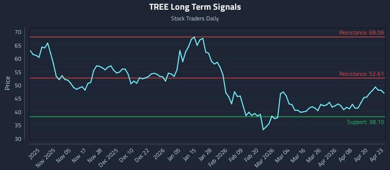TREE Long Term Analysis for April 24 2026