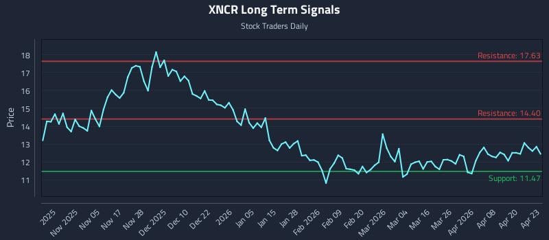 XNCR Long Term Analysis for April 24 2026