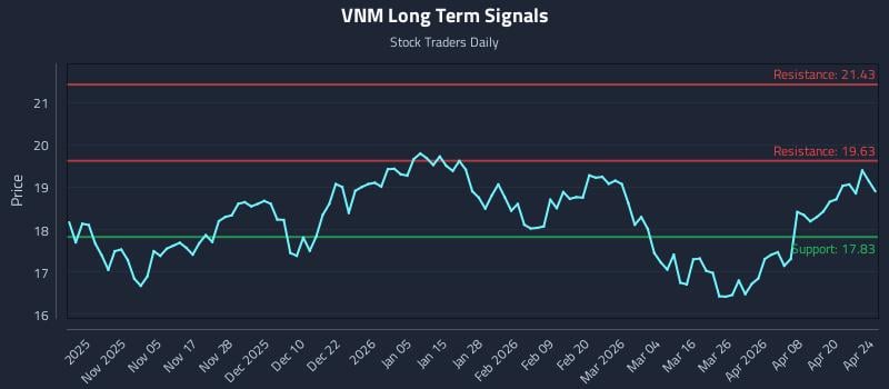 VNM Long Term Analysis for April 25 2026