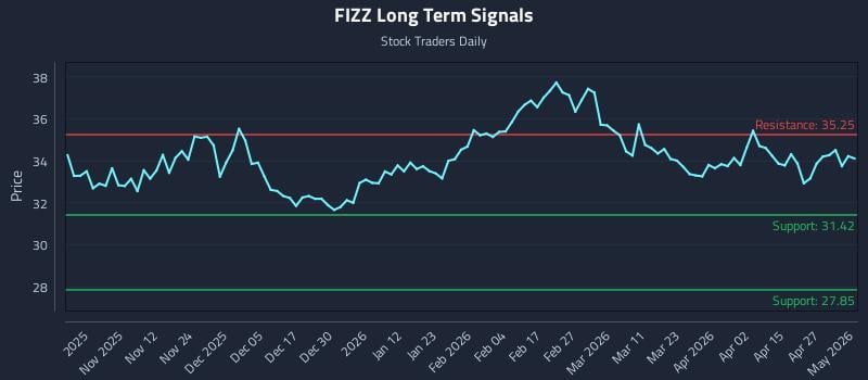 FIZZ Long Term Analysis for May 2 2026