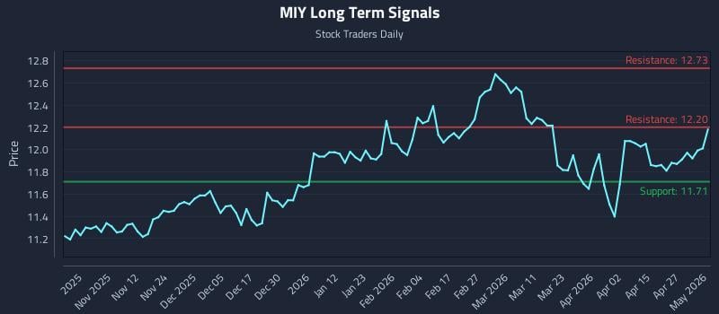 MIY Long Term Analysis for May 3 2026