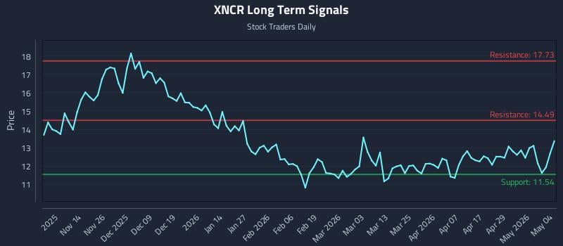 XNCR Long Term Analysis for May 5 2026