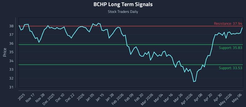 (BCHP) as a Liquidity Pulse for Institutional Tactics