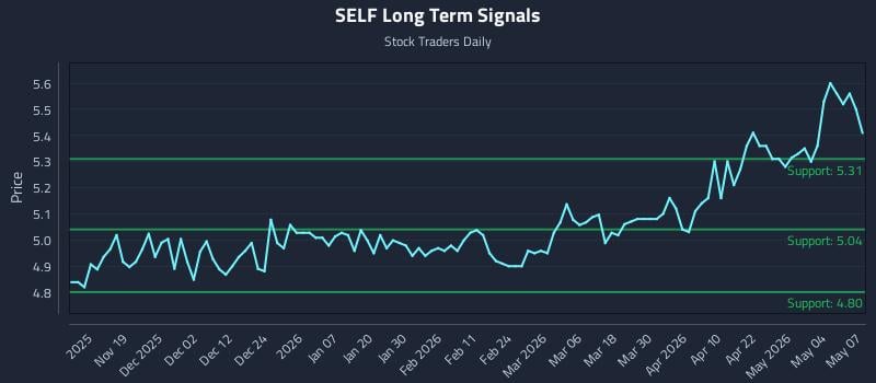 SELF Long Term Analysis for May 8 2026