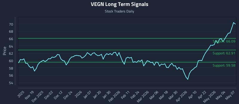 VEGN Long Term Analysis for May 8 2026