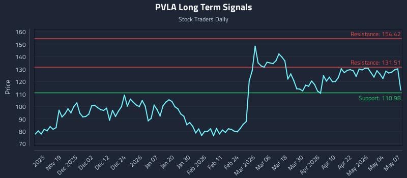 PVLA Long Term Analysis for May 8 2026