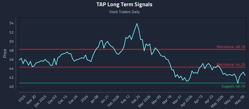 TAP Long Term Analysis for May 11 2026
