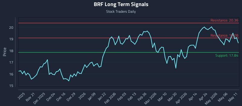BRF Long Term Analysis for May 12 2026