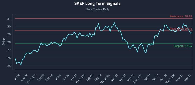 SAEF Long Term Analysis for May 15 2026 SAEF Long Term Analysis for May 15 2026