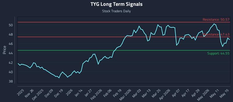 TYG Long Term Analysis for May 16 2026