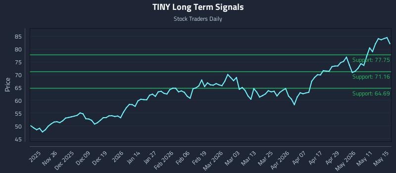 TINY Long Term Analysis for May 17 2026