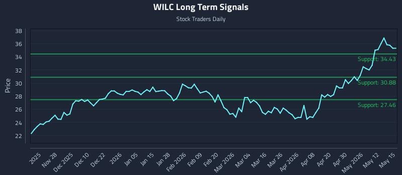 WILC Long Term Analysis for May 18 2026
