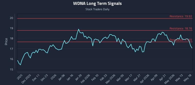 WDNA Long Term Analysis for May 19 2026 WDNA Long Term Analysis for May 19 2026