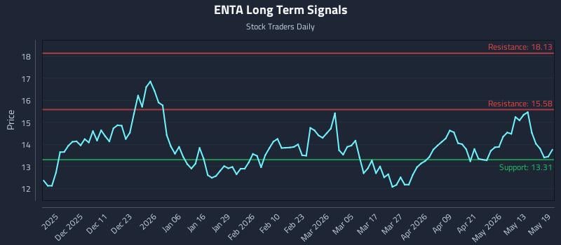 ENTA Long Term Analysis for May 19 2026