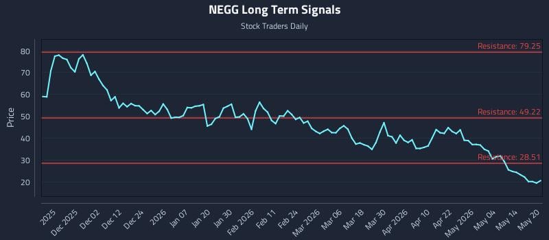 NEGG Long Term Analysis for May 20 2026