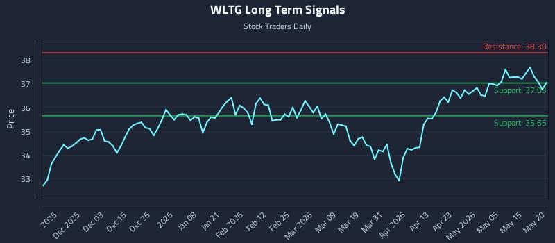 WLTG Long Term Analysis for May 21 2026
