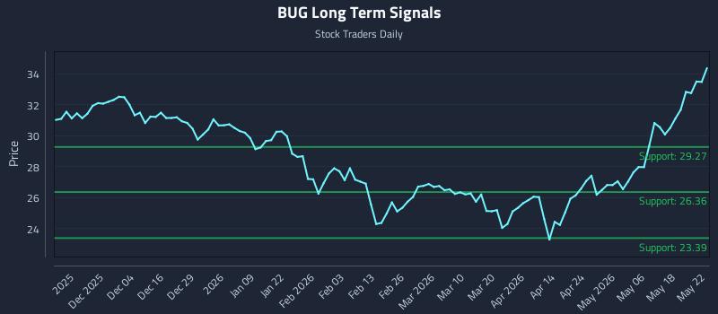 BUG Long Term Analysis for May 23 2026