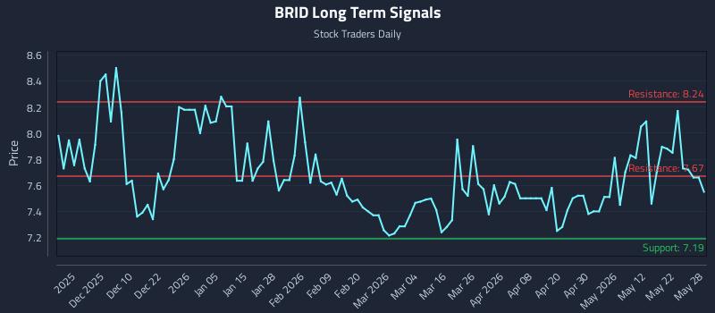 BRID Long Term Analysis for May 29 2026