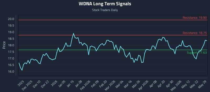 WDNA Long Term Analysis for May 30 2026