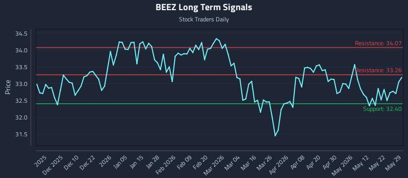 BEEZ Long Term Analysis for May 30 2026