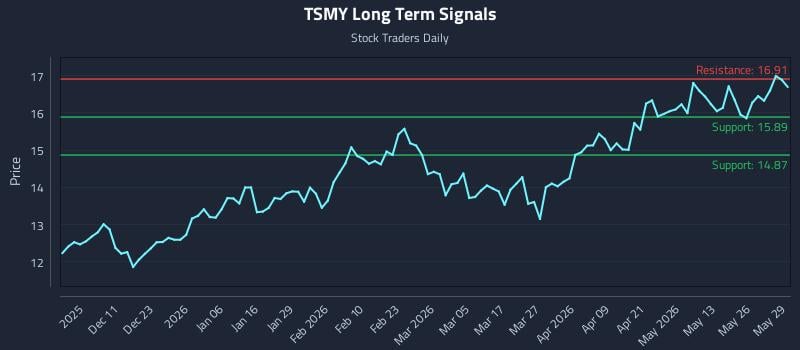 TSMY Long Term Analysis for June 1 2026 TSMY Long Term Analysis for June 1 2026