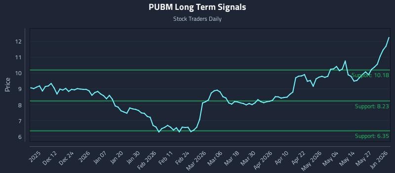 PUBM Long Term Analysis for June 2 2026 PUBM Long Term Analysis for June 2 2026