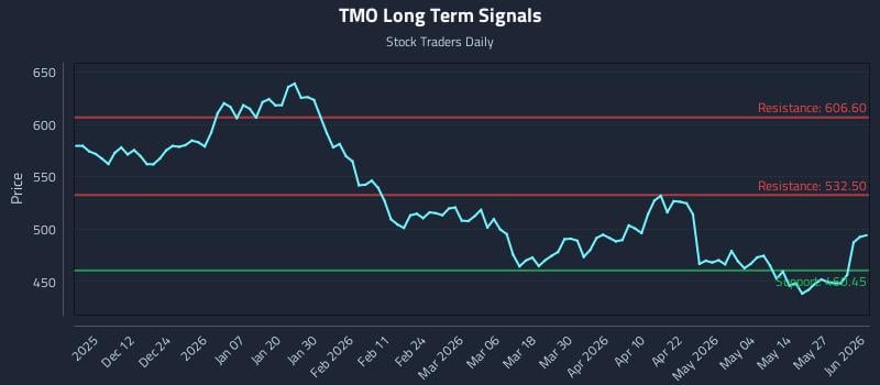 TMO Long Term Analysis for June 2 2026