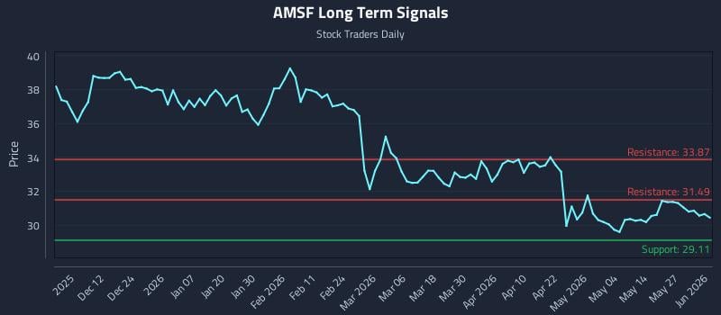 AMSF Long Term Analysis for June 2 2026