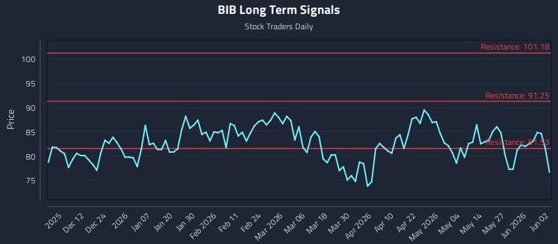 BIB Long Term Analysis for June 2 2026