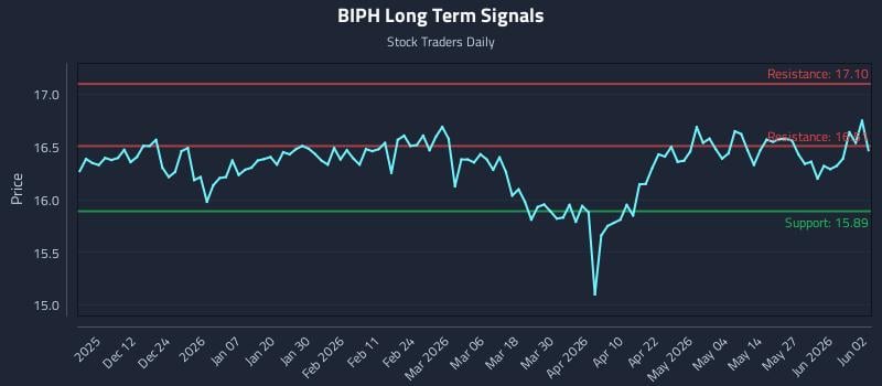BIPH Long Term Analysis for June 2 2026
