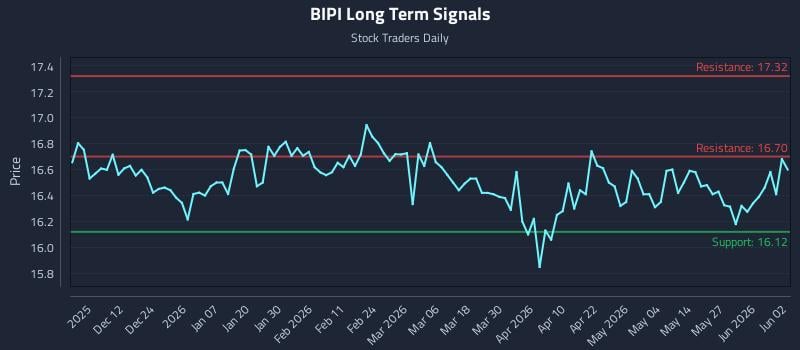 BIPI Long Term Analysis for June 2 2026