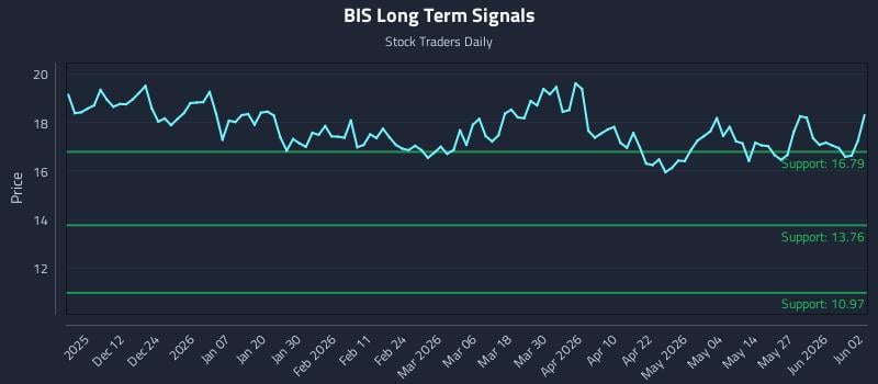 BIS Long Term Analysis for June 2 2026