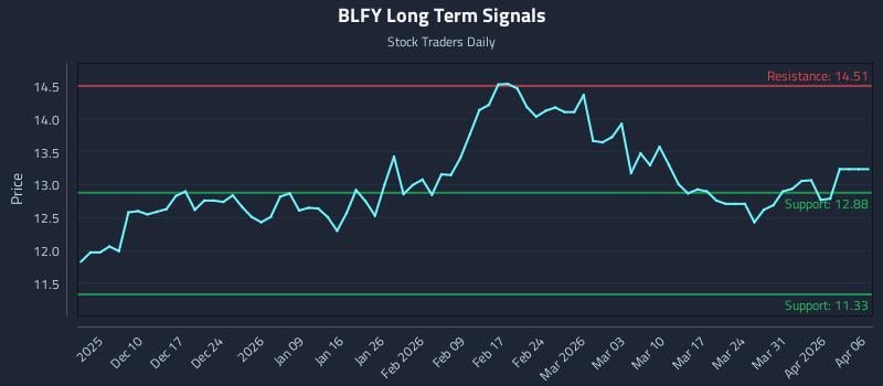 BLFY Long Term Analysis for June 3 2026