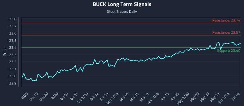 BUCK Long Term Analysis for June 3 2026