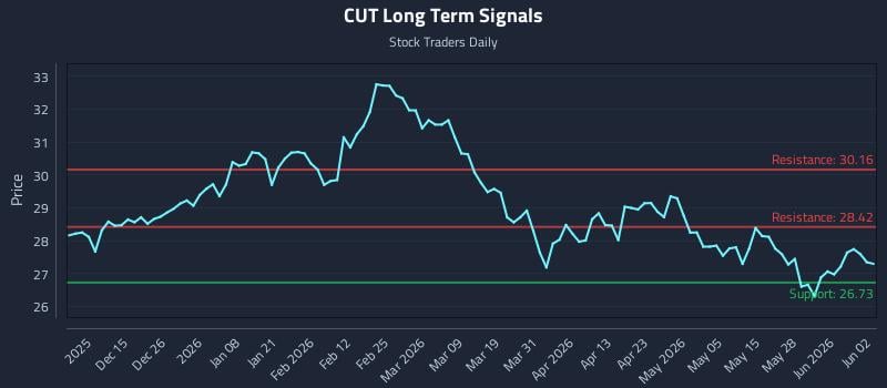 CUT Long Term Analysis for June 3 2026 CUT Long Term Analysis for June 3 2026