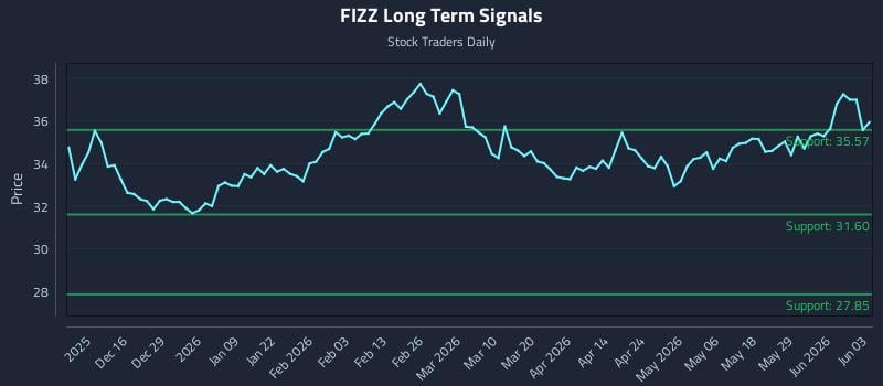 FIZZ Long Term Analysis for June 4 2026