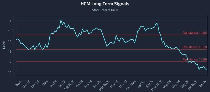 HCM Long Term Analysis for June 4 2026