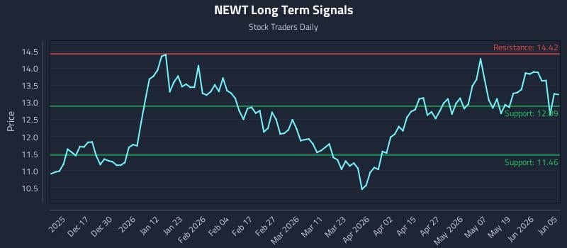 NEWT Long Term Analysis for June 5 2026