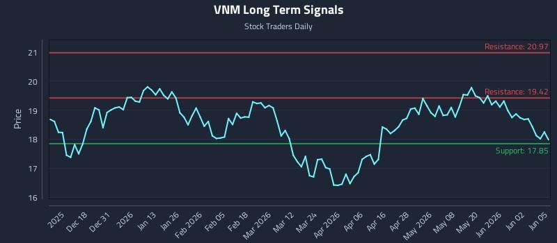 VNM Long Term Analysis for June 8 2026 VNM Long Term Analysis for June 8 2026