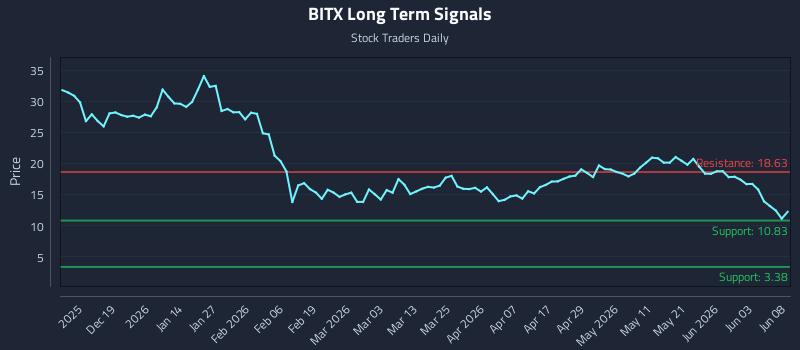 Precision Trading with 2x Bitcoin Strategy Etf (BITX) Risk Zones
