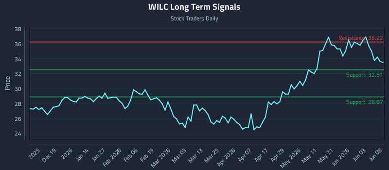 WILC Long Term Analysis for June 9 2026 WILC Long Term Analysis for June 9 2026