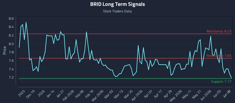 BRID Long Term Analysis for June 9 2026 BRID Long Term Analysis for June 9 2026