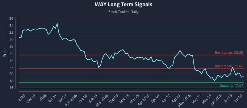 WAY Long Term Analysis for June 9 2026 WAY Long Term Analysis for June 9 2026