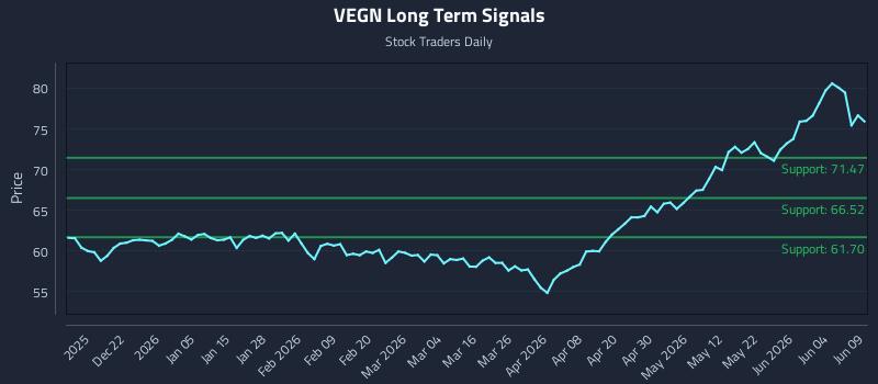 VEGN Long Term Analysis for June 10 2026