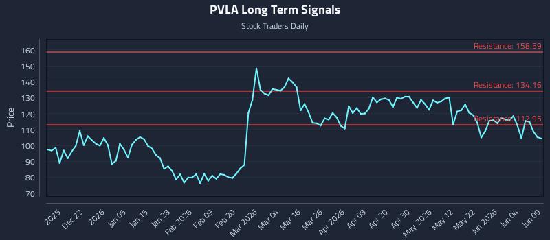 PVLA Long Term Analysis for June 10 2026