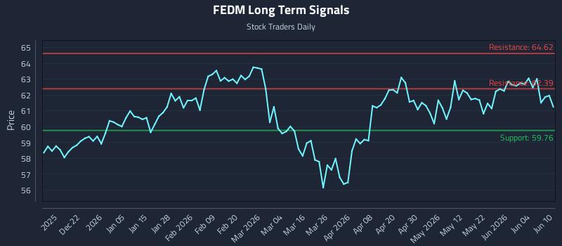 FEDM
