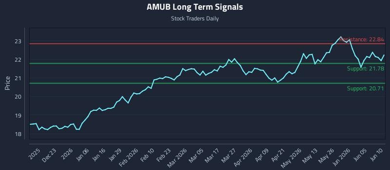 AMUB Long Term Analysis for June 11 2026