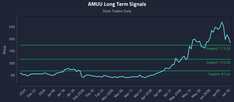 AMUU Long Term Analysis for June 11 2026